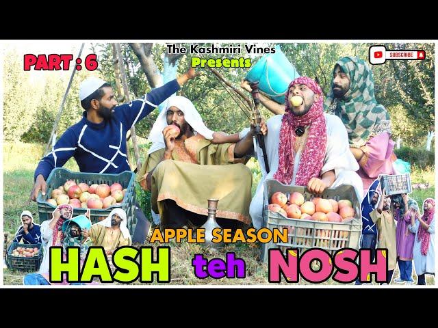 HASH teh NOSH (Part : 6) | APPLE SEASON  | Most Funny Video | The Kashmiri Vines