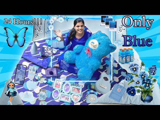 Using Only BLUE Things for 24 Hours Challenge!! | Jenni's Hacks