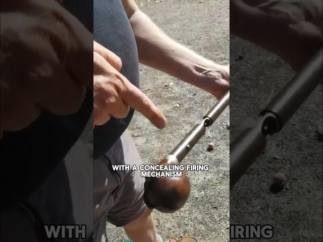Remington Cane Gun