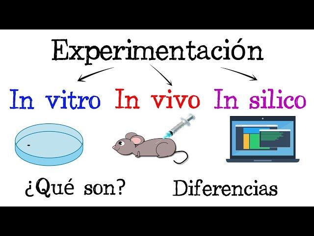  In Vitro, In Vivo, In Silico  ¿Qué son?  Diferencias  [Fácil y Rápido] | BIOLOGÍA |