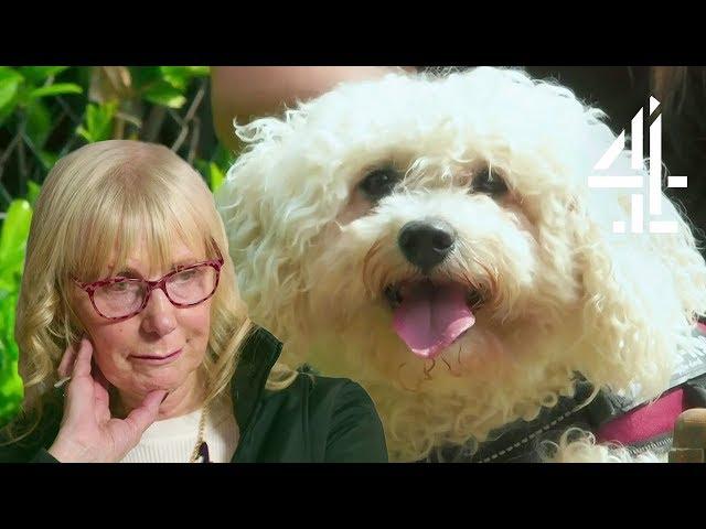 Recent Widow Bonds with Adorable Abandoned Dog | The Dog House