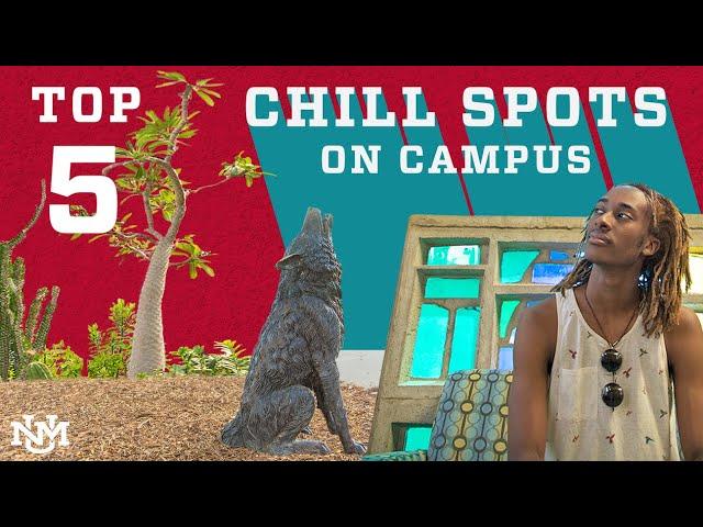 Campus Countdown | Top 5 Chill Spots at UNM