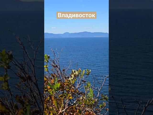 Бухта Баярин, Русский остров, пролив Старка, Владивосток. Чья дача? #БлогВладивосток ищи в телеграмм