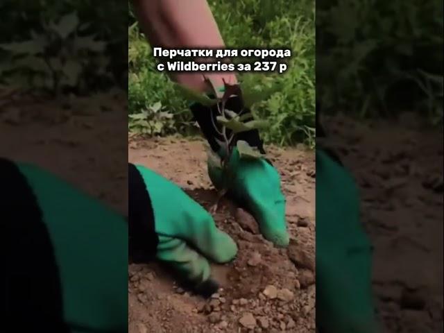 Артикул в шапке профиля #wildberries #находкивб #вб #находки #wb
