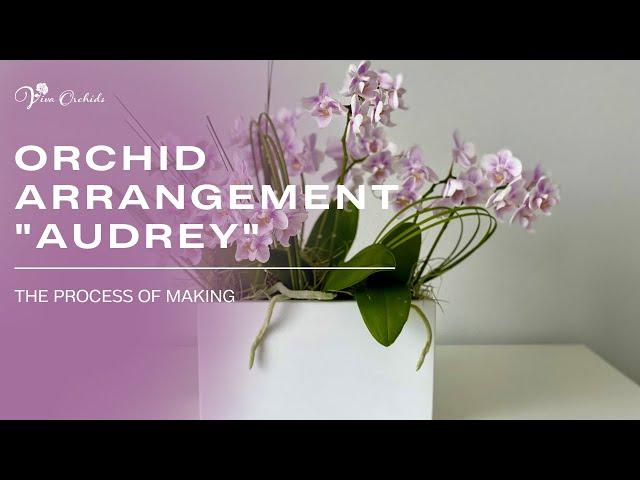 The Process of Creating an Orchid Arrangement "Audrey" | Viva Orchid of Boca Raton