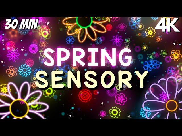 Sensory Videos for Autism Morning Happiness with Flower Visuals