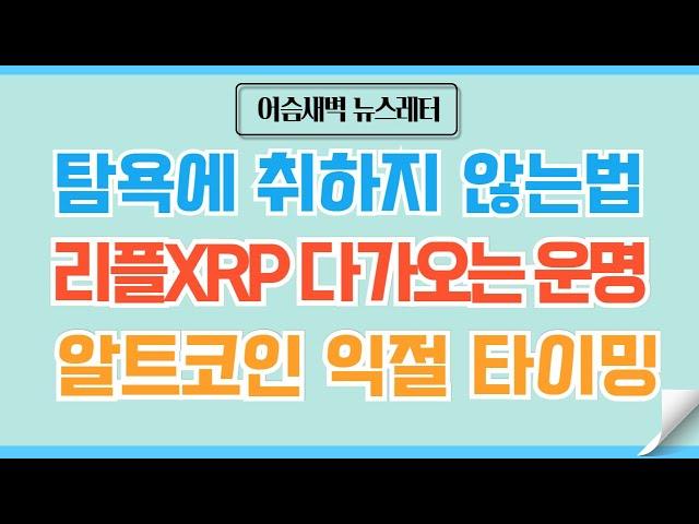 [정규#141] 리플XRP 도지 코인과 같은 운명인 이유/비트코인 예측 #비트코인 #이더리움 #리플 #코인