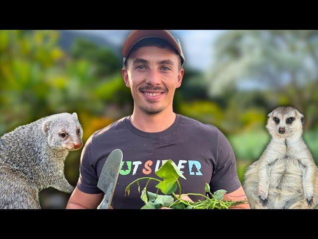 Gardening With Wild Animals