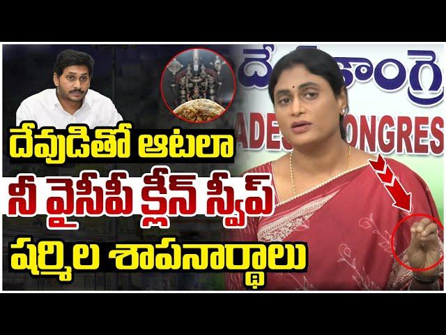 YS Sharmila Fires On YS Jagan Over Tirumala Laddu Issue | Congress Vs YCP | AP Politics | Socialpost