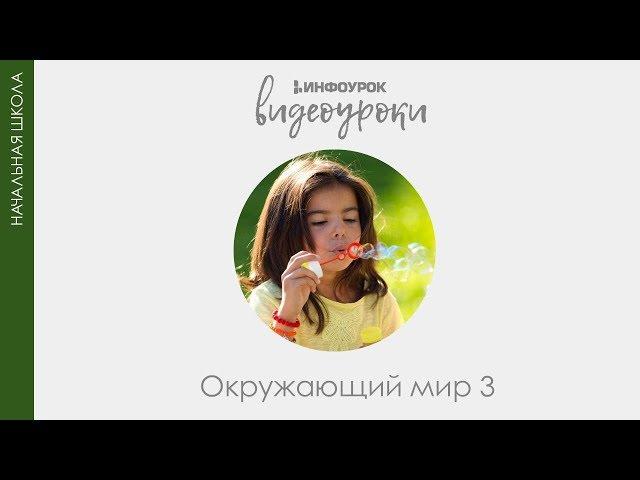 Золотое кольцо России | Окружающий мир 3 класс #42 | Инфоурок