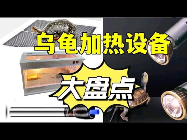 【养龟设备选购指南】第一期：乌龟加热设备怎么选？哪种适合你？