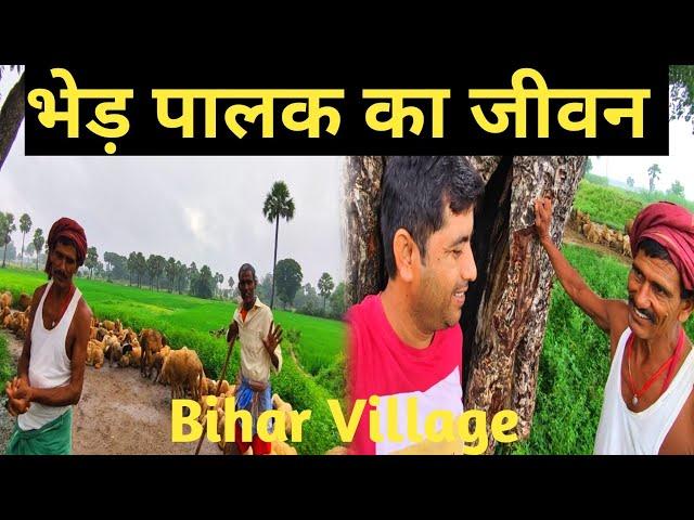 भेड़ पालक का जीवन बिहार के गाँव में कैसे रहते है घर से महीनों दूर | Bihar Village Life