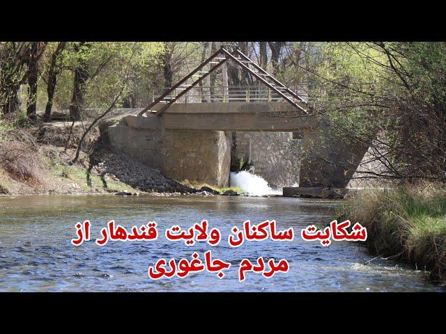 Jaghori sea | چرا باشندگان ولایت قندهار از مردم جاغوری شکایت کردند؟