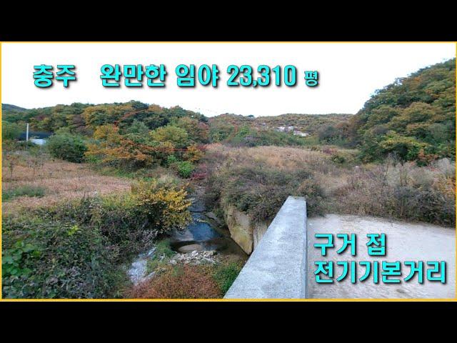 충북임야 충주 완만한 임야, 15도전후,가축사육도 가능