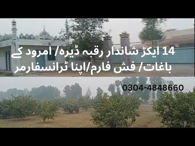 14 acre beautiful land | Raqba | Dairy farm | fish farm | Farm house for sale | investment |