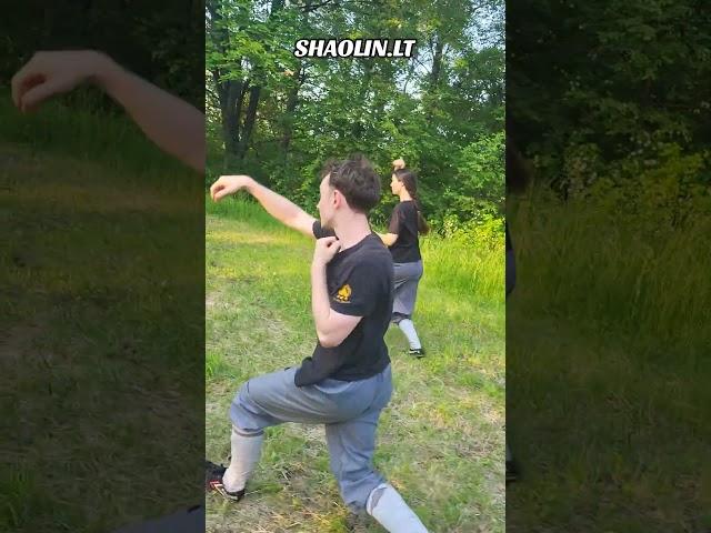 SHAOLIN.LT #shaolinkungfu #kungfu #wushufight #martialarts #wushu