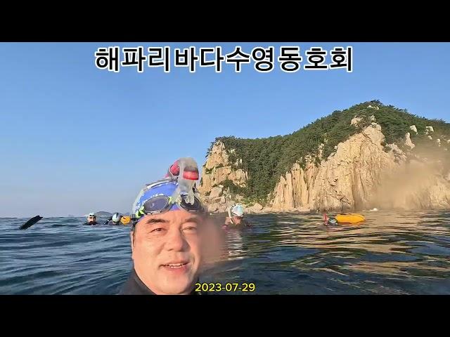 #해파리바다수영동호회 #여차#천장쌍굴#형제섬