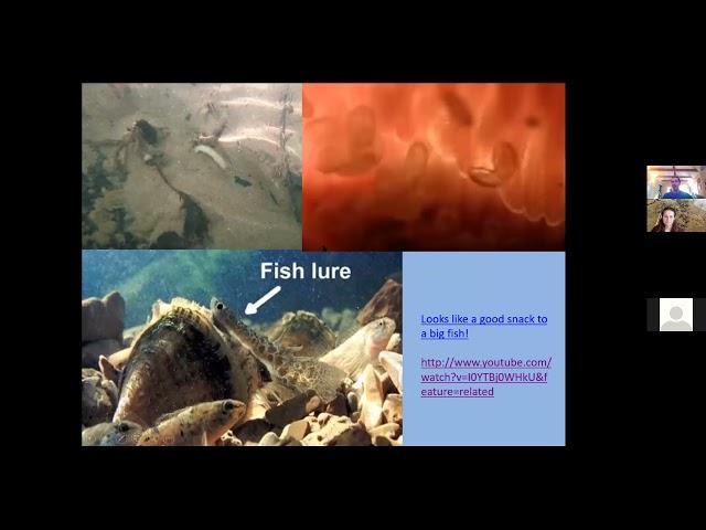 Freshwater Mussel Talk