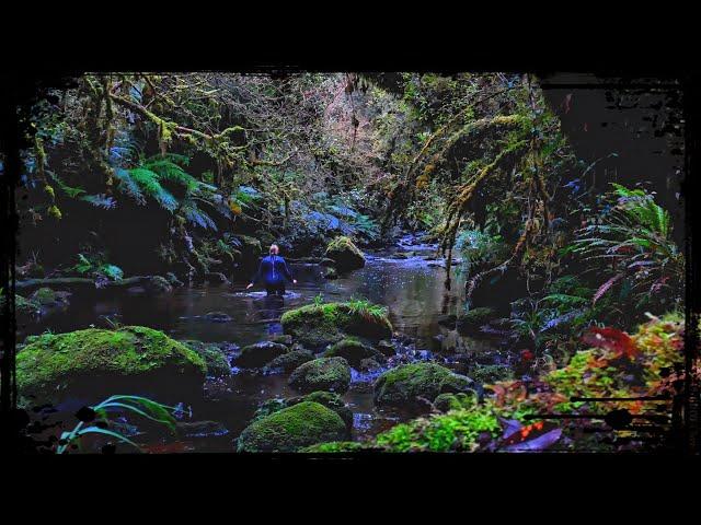 What Exactly is THE SHUTE? Catlins, New Zealand HIDDEN Adventure