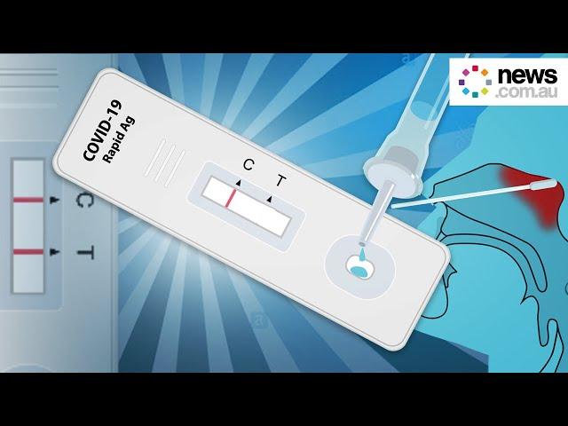 How to take a Rapid COVID Test