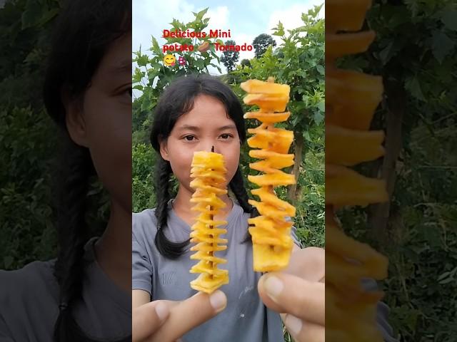 Delicious Mini Potato  Tornado #shorts #delicious #tornado