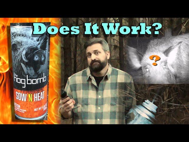 Does The Hog Bomb (Buck Bomb Co.) attract Hogs for hunting? Wild Hog Bait Product Test & Review!