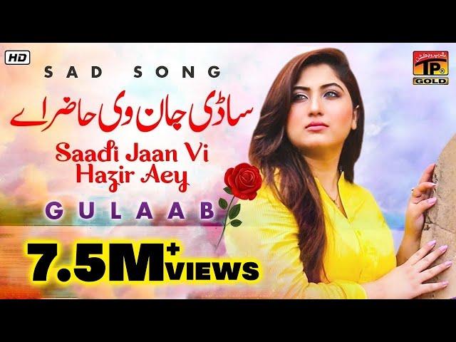 Gulaab | "Sadi Jaan" |  Latest Punjabi Songs | TP Gold