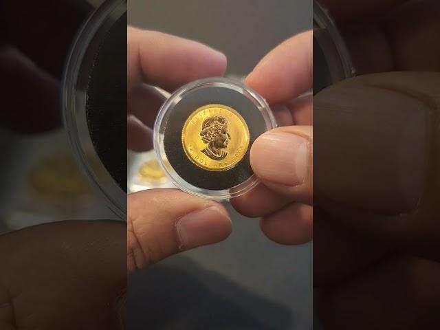 Should you invest in fractional gold?