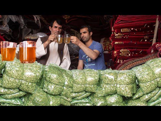 عبدالفتاح عزیزی، چای کوهی بدخشان که شهرت جهانی دارد Afghanistan Badakhshan tea - بدخشان پلس