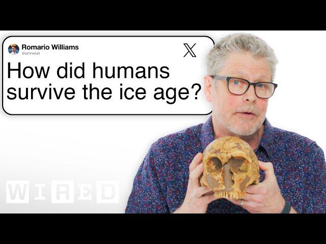 Paleoanthropologist Answers Caveman Questions From Twitter | Tech Support | WIRED