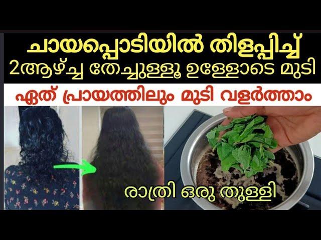 കോലു മുടിയും കാടുപോലെ വളർത്താൻ രാത്രി ചായപ്പൊടിയിൽ കലക്കി വെറും ഒരു തുള്ളി തേച്ചുനോക്കൂhairloss