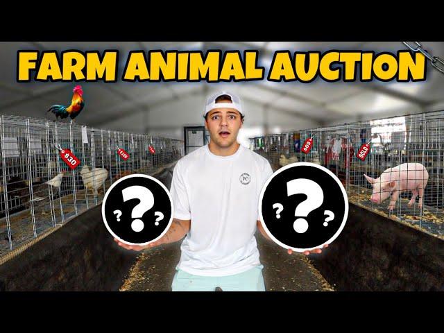 Buying ANIMALS at AUCTION for My FARM!! (crazy)