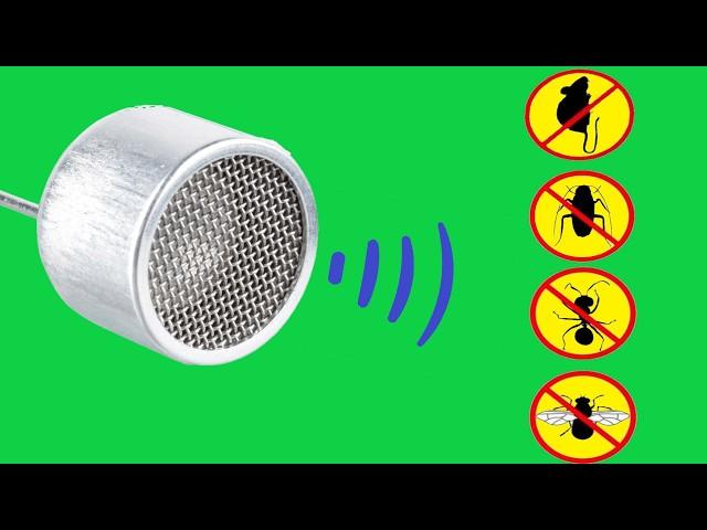 Protect Your Home: How to Easily Make an Ultrasonic Pest Repeller