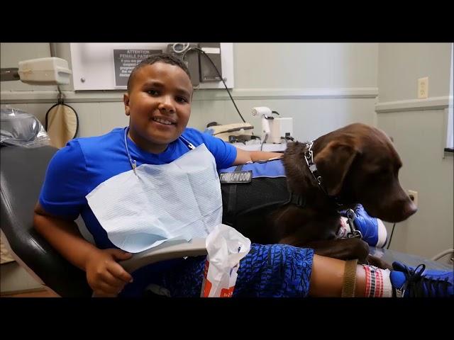 Our Dog Allows Children to Forget about Dental Fear