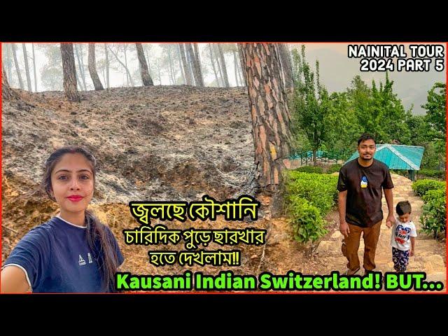 Kausani আগুনে পুড়ে ধ্বংস হয়ে যাচ্ছে  Baijnath Kausani Gandhi Ashram Best Hotel