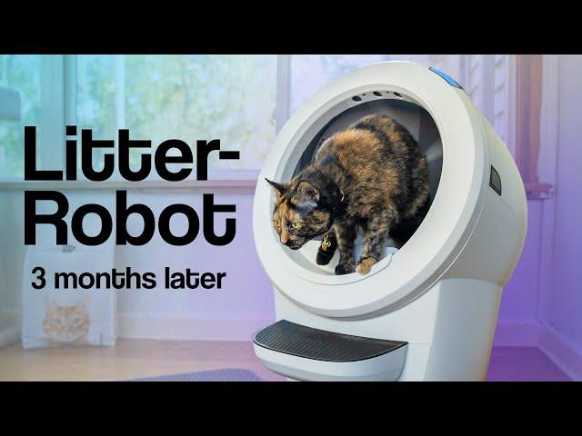 Litter-Robot 4 Review - 4 Cats Used It For 3 MONTHS! EVERYTHING You Need To Know! | Raymond Strazdas