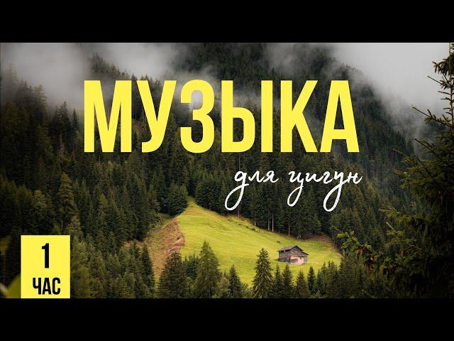 Музыка для цигун и тайцзицюань #тайцзицюань #цигун