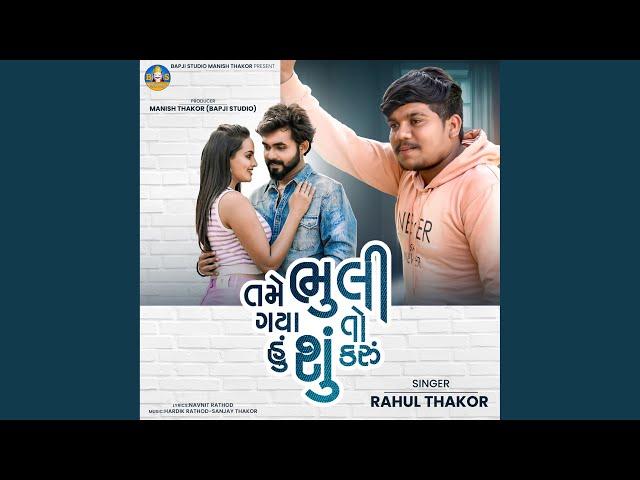 Tame Bhuli Gaya To Hu Shu Karu