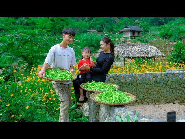 The Joy of Harvesting Agricultural Products & Cooking Delicious Meals Together - Sang Vy's Family