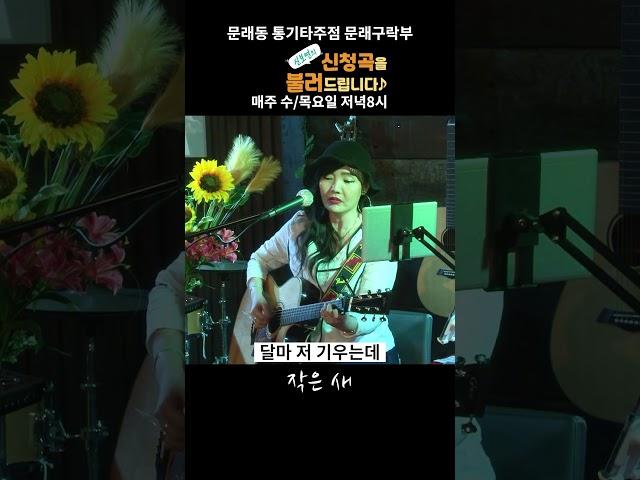 작은 새_어니언스