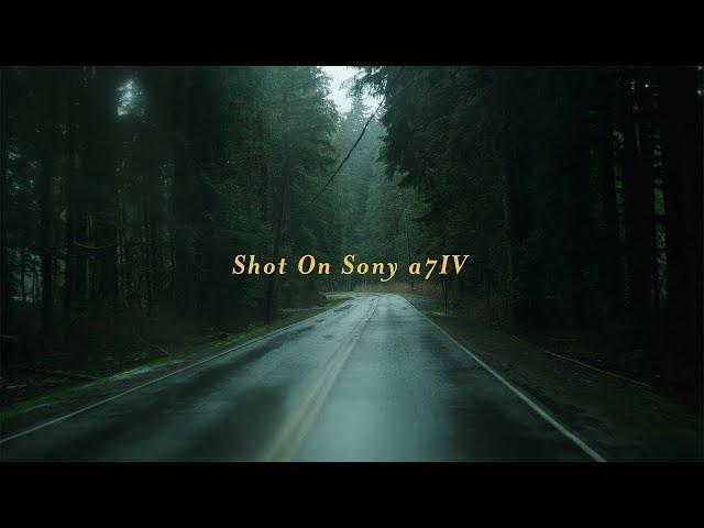 Creating Cinematic Magic with the Sony a7IV: 4K Video Tutorial