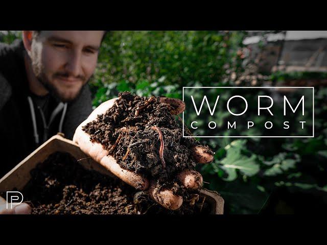 Composting with Worms to Turn Garbage Into Food | PARAGRAPHIC