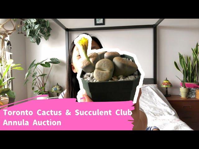 Toronto Cactus & Succulent Club Annual Auction