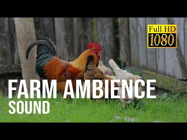 1 hour of farm animal noises | Farm ambience sound for sleeping