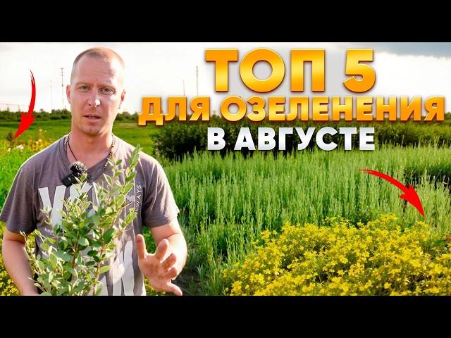 ПОСАДИТЕ эти 5 кустарников в АВГУСТЕ (им лето - не помеха!)