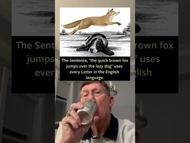 The Sentence "The Quick Brown Fox Jumps Over The Lazy Dog" Uses Every Letter in The Alphabet.