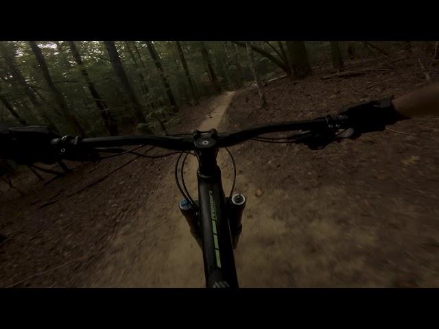 Mountain Biking Ridgeline | Dupont State Forest