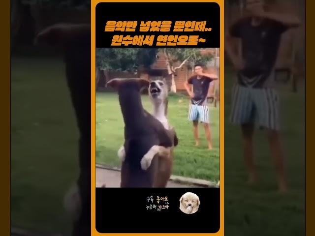 음악만 넣었을 뿐인데.. 원수에서 연인으로 ~