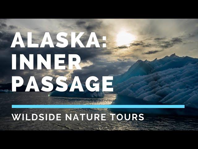 Alaska: Inner Passage (Wildside Nature Tours Photography Workshop)