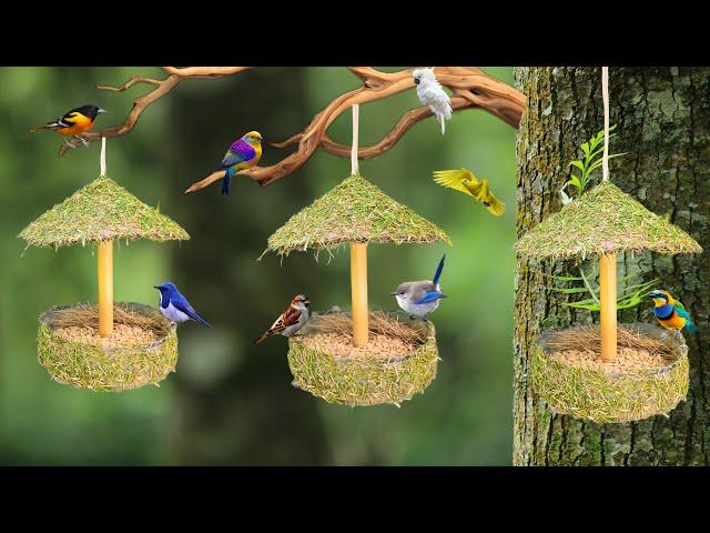 How to make a bird house ||bird feeder from waste material easy ||plastic bottle craft ideas